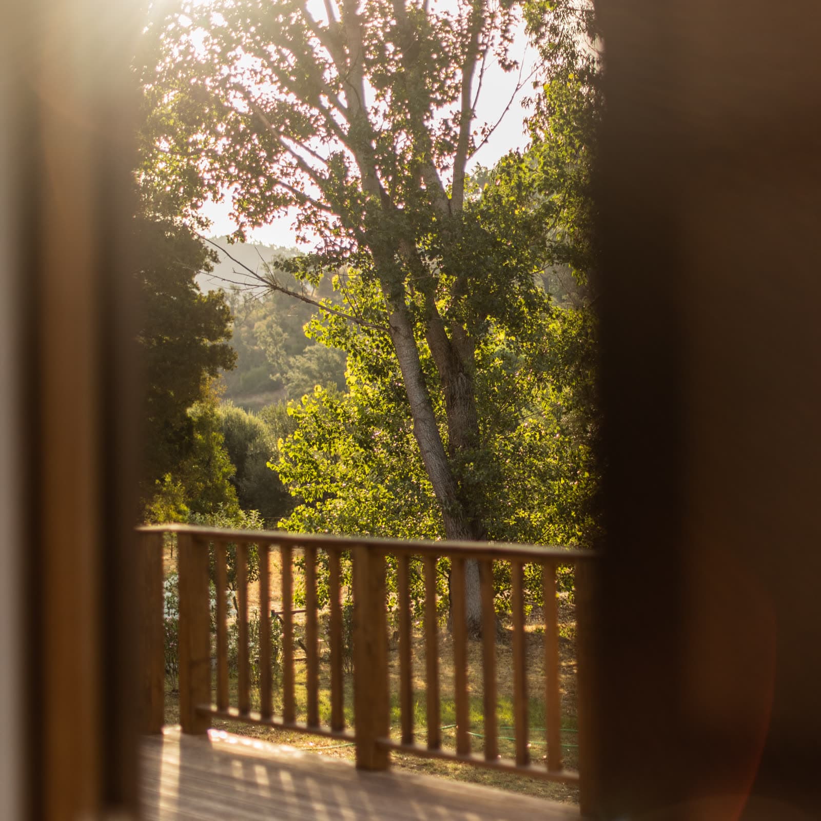 Sunlight through the trees onto a wooden balcony
