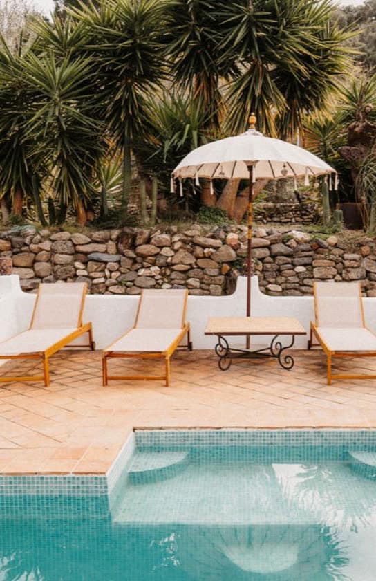 Sun loungers and a parasol by the pool, under palm trees