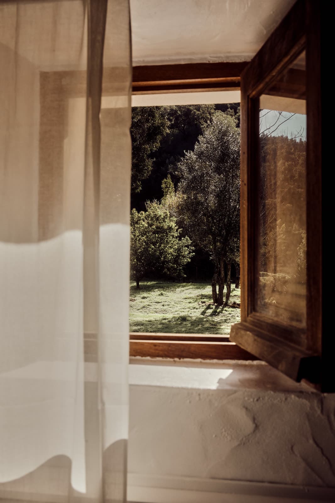 A bedroom window looking out onto trees, with a sheer curtain