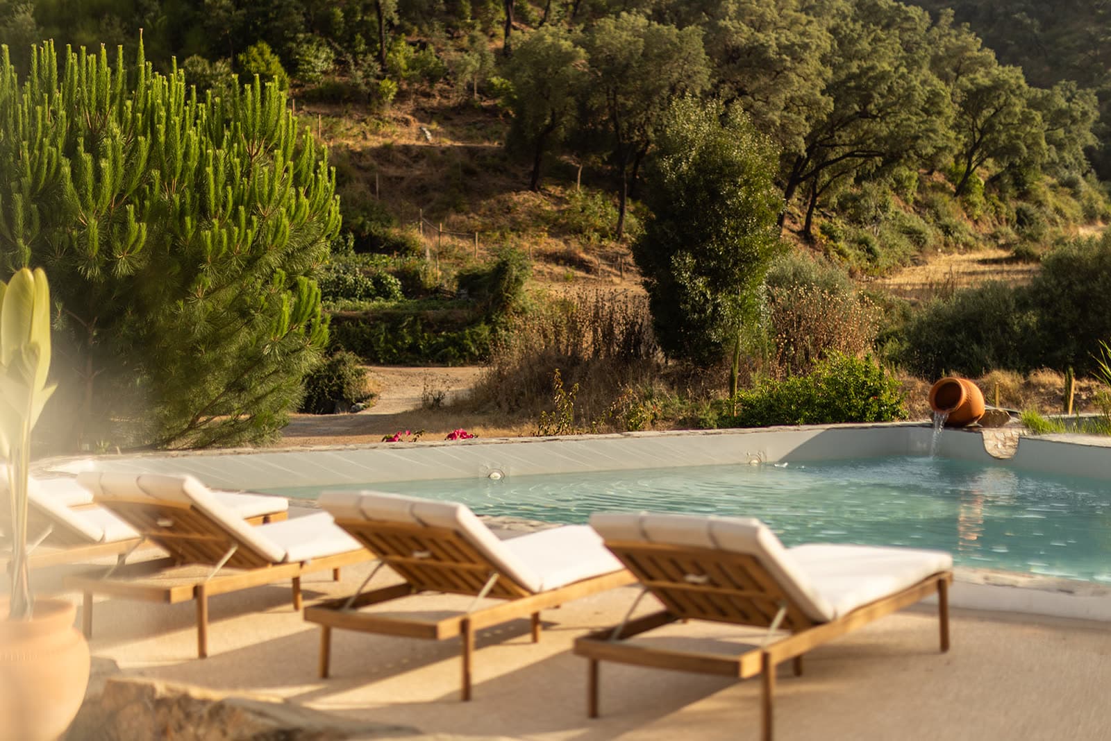 Sun loungers beside the natural pool, with wooded hills behind