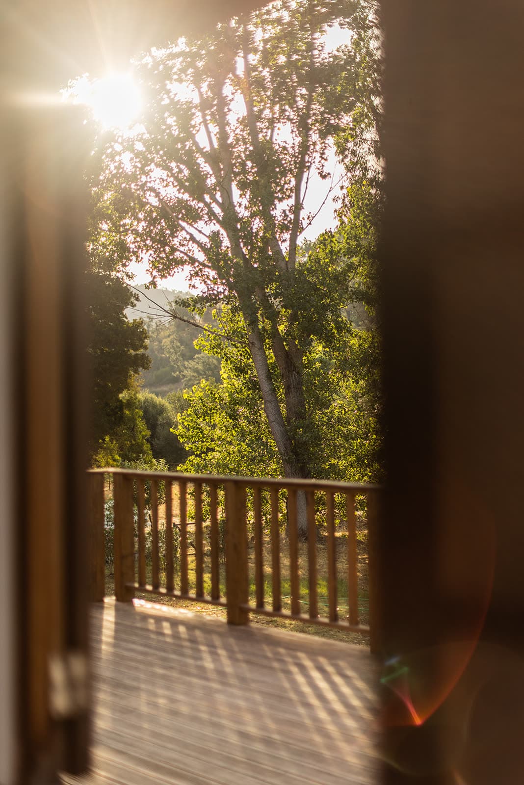Sunlight through the trees onto a wooden balcony