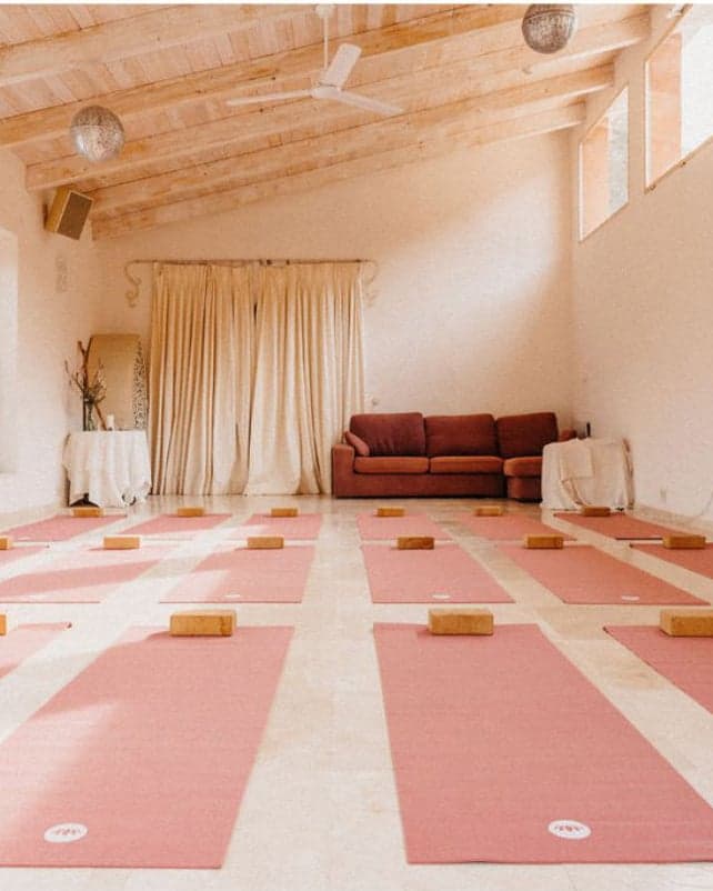 The yoga studio with mats laid out for the morning session